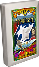 Tennessee Souvenir 6 LED Night Light Wall Switch