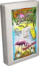 Florida Souvenir 6 LED Night Light Wall Switch