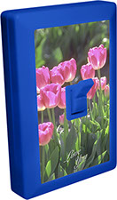 Love You Pink Valentine Flowers 6 LED Night Light Wall Switch Item 110580VALENTINE